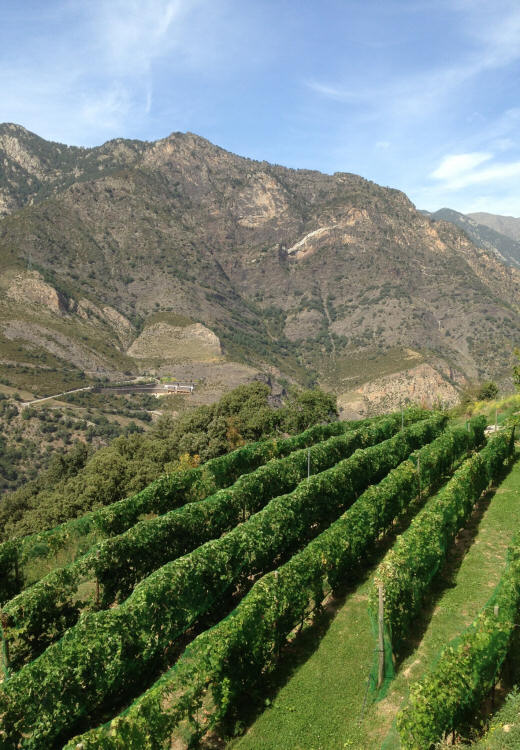 auvinya, andorra sant julia de loria